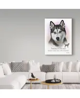 Howard Robinson 'Siberian Husky' Canvas Art - 14" x 19"