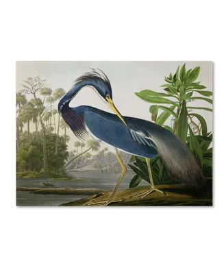John James Audubon 'Louisiana Heron' Canvas Art - 24" x 18"