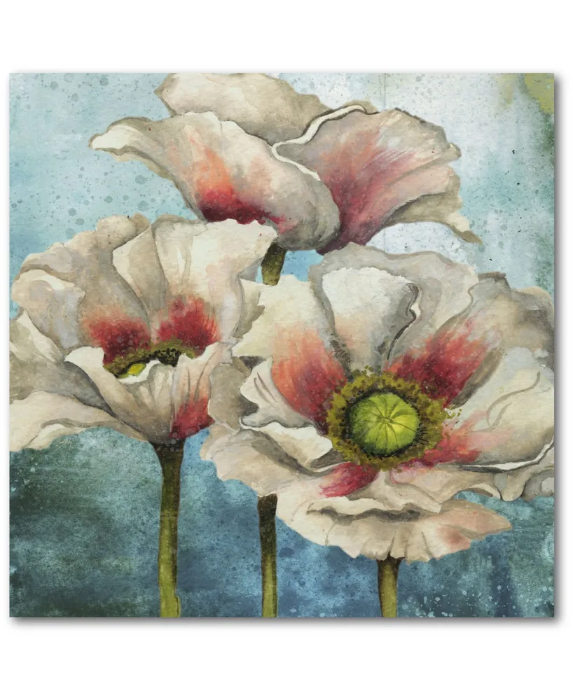 Courtside Market Poppies Over I 24" x 24" Gallery-Wrapped Canvas Wall Art