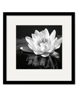 Courtside Market Waterlily Flower I 16" x 16" Framed and Matted Art