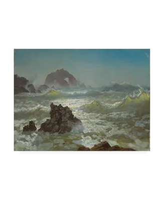 Albert Bierstadt Seal Rock, California Canvas Art