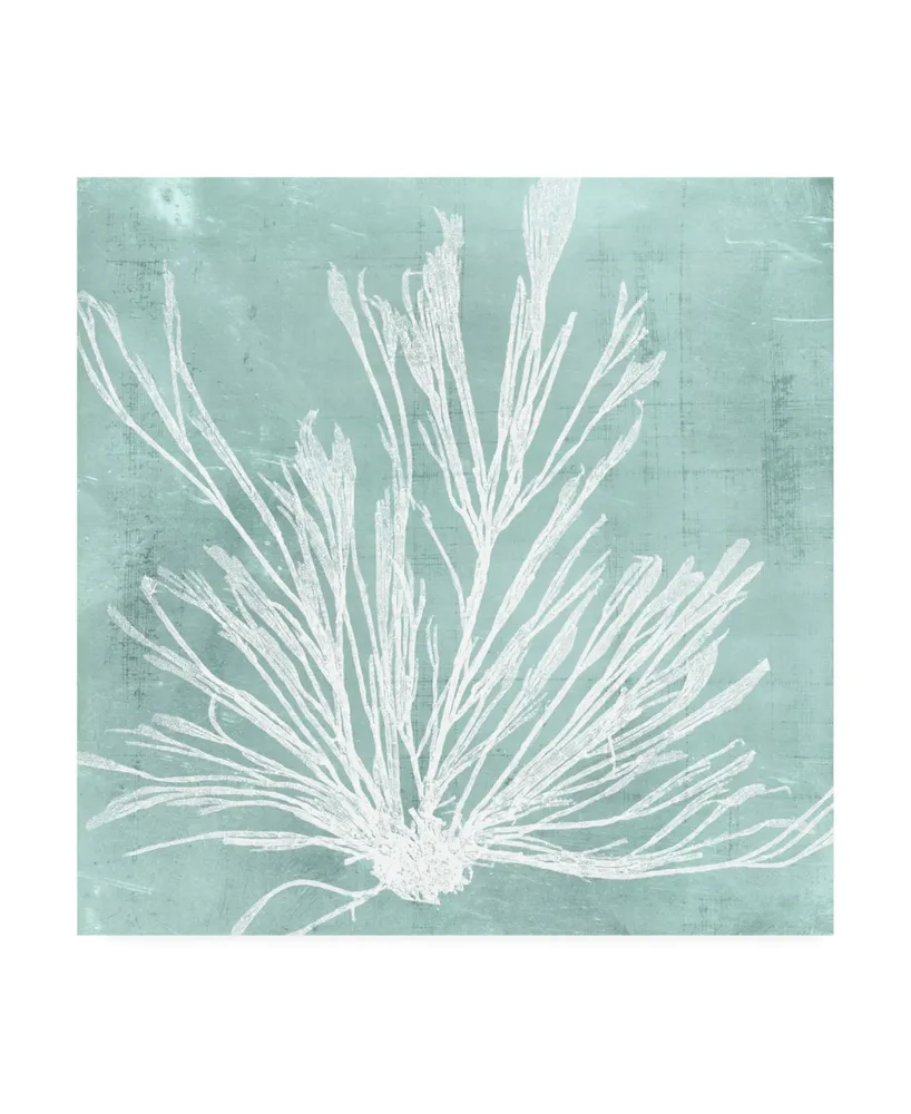 Vision Studio Seaweed on Aqua Ix Canvas Art