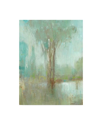 Tim OToole Mist in the Glen I Canvas Art - 27" x 33.5"