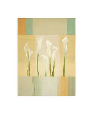 Pablo Esteban Calla Lilies on Beige Pattern Canvas Art