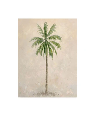 Debra Lake Palm Tree 1 Canvas Art