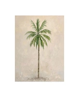 Debra Lake Palm Tree 1 Canvas Art