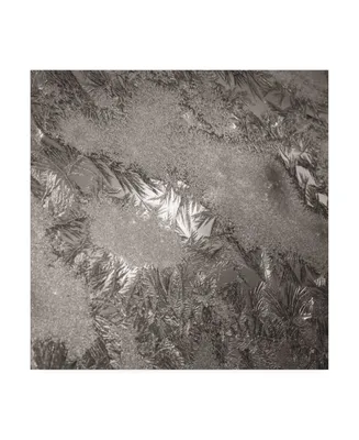 Kurt Shaffer Photographs Mosaic of ice crystals on my window Canvas Art