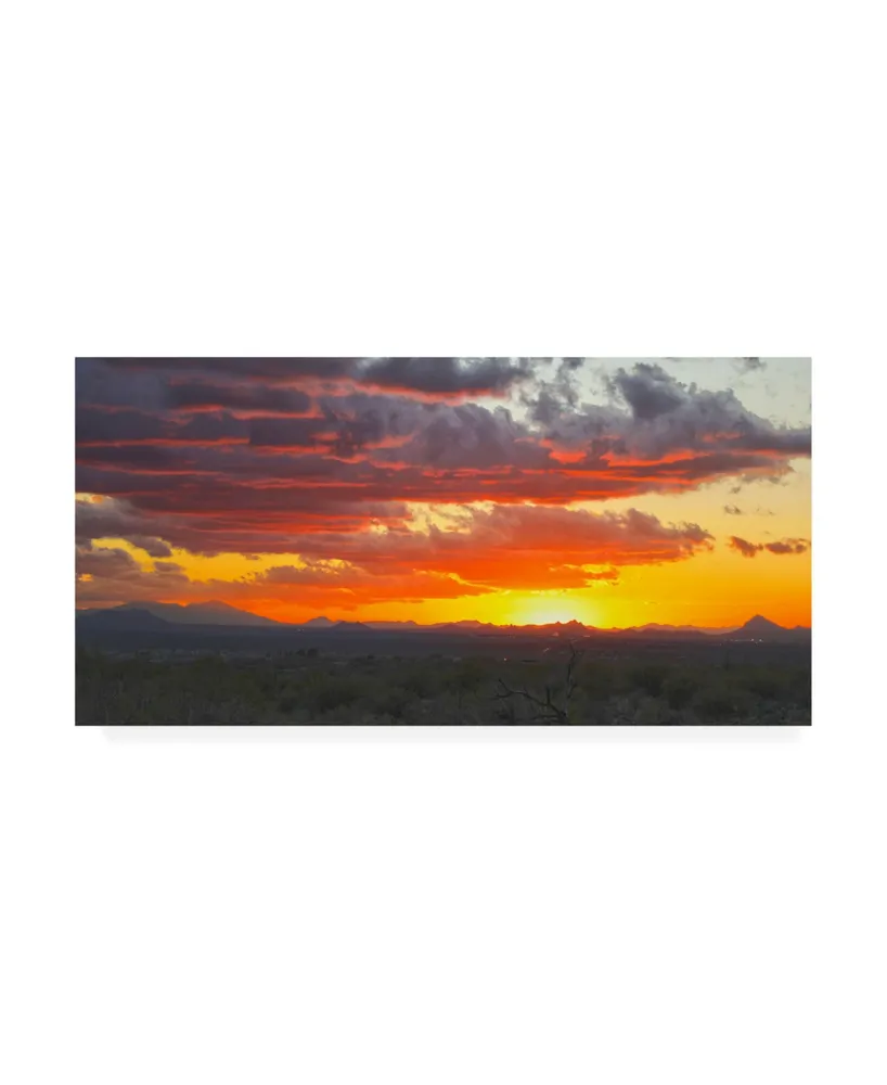 Mitch Catanzaro Sonoran Desert Sunset Canvas Art