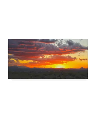 Mitch Catanzaro Sonoran Desert Sunset Canvas Art