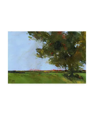 Paul Baile Autumn Oak and Empty Fields Canvas Art