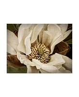 Rachel Perry Classic Magnolia Ii Canvas Art - 37" x 49"