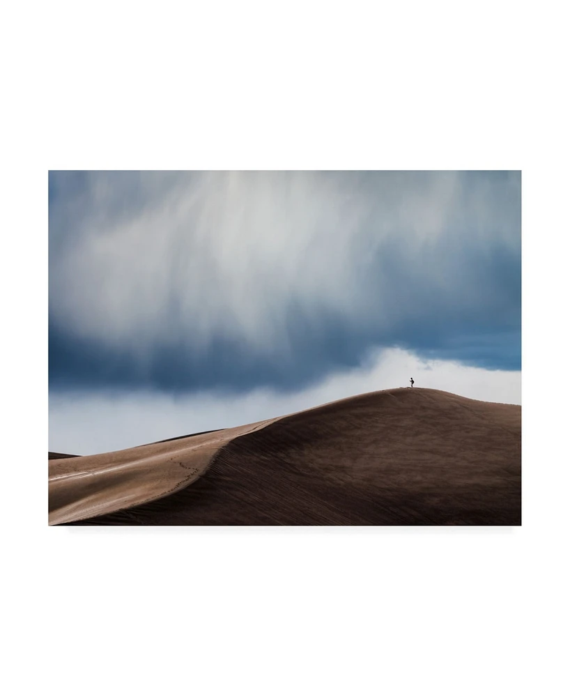 John Fan Storm Chaser Desert Canvas Art - 37" x 49"