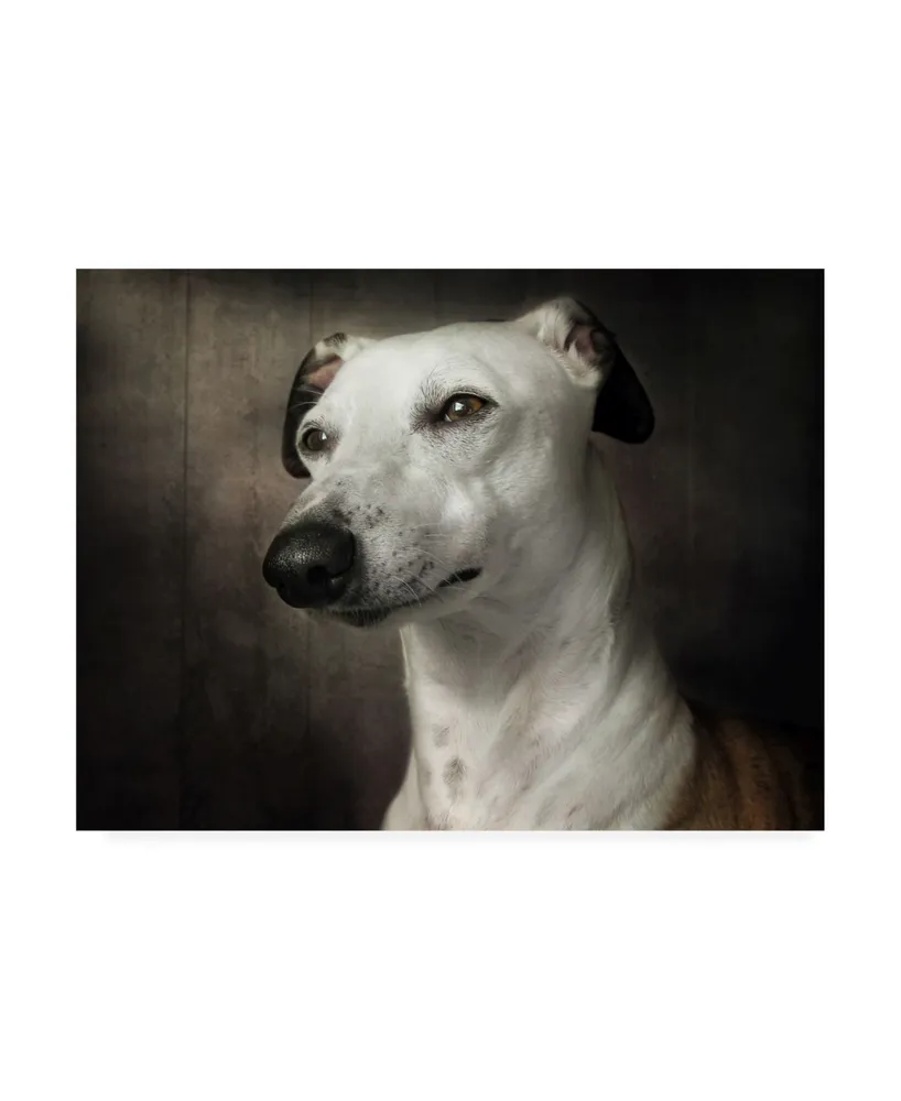 Mandy Disher Waiting Dog Canvas Art