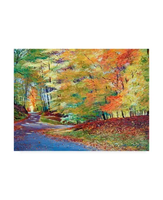 David Lloyd Glover Walking in Autumn Canvas Art - 15" x 20"
