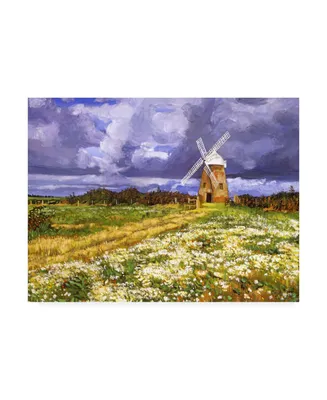 David Lloyd Glover English Country Windmill Canvas Art - 37" x 49"