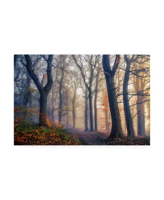 Leif Londal The Forest Path Canvas Art - 15" x 20"