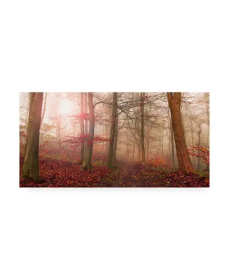 Leif Londal Forest Scene Red Canvas Art