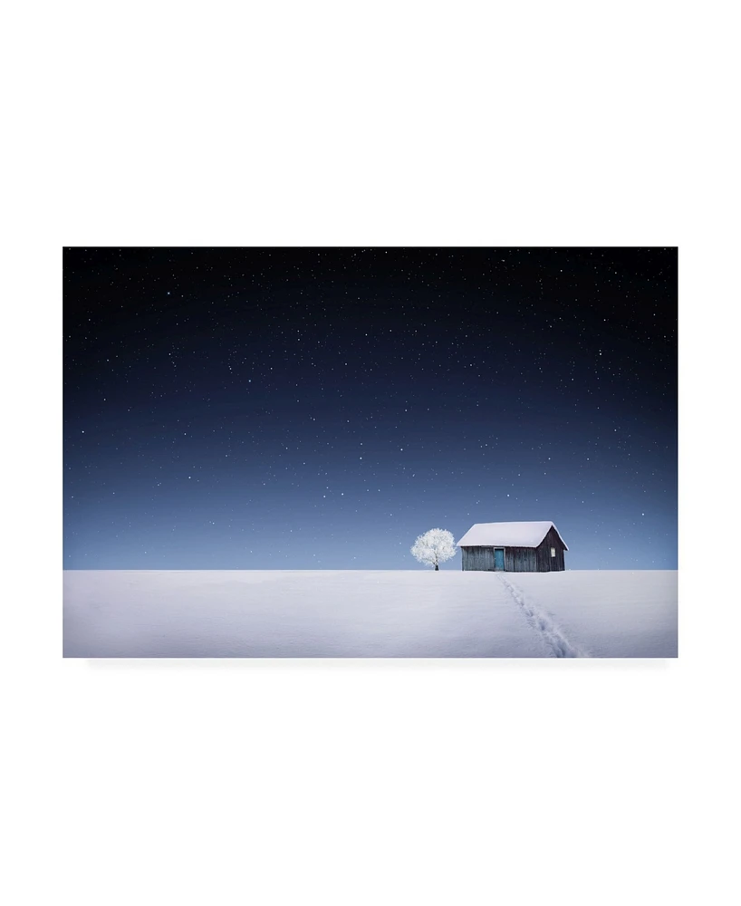 Bess Hamiti Winter Rural Stars Canvas Art - 20" x 25"