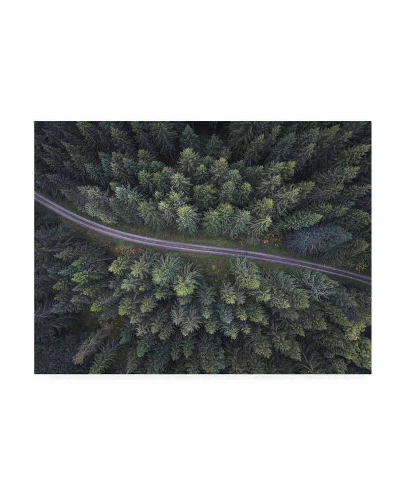 Christian Lindsten Small Road Through the Forest Canvas Art