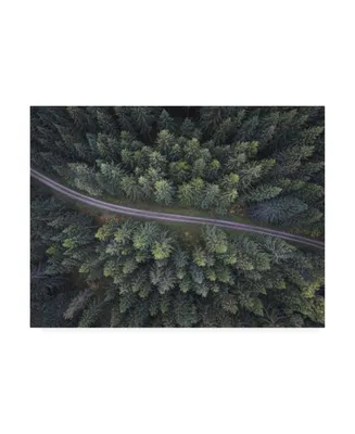 Christian Lindsten Small Road Through the Forest Canvas Art