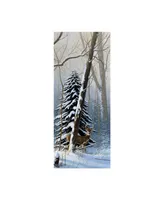 Michael Budden Winter Light, Buck Canvas Art - 20" x 25"