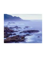 Monte Nagler Surf and Foothills Big Sur California Canvas Art