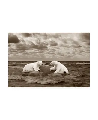 Monte Nagler Two Polar Bears Coast Line Canvas Art - 15" x 20"