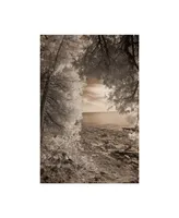 Monte Nagler Tree Frame Sepia Canvas Art - 20" x 25"