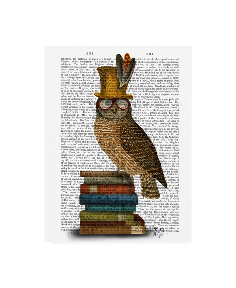 Fab Funky Owl on Books Canvas Art