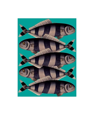 Fab Funky Blue Striped Fish Canvas Art - 36.5" x 48"