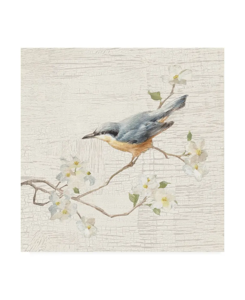 Danhui Nai Nuthatch Vintage Painting Canvas Art - 36.5" x 48"
