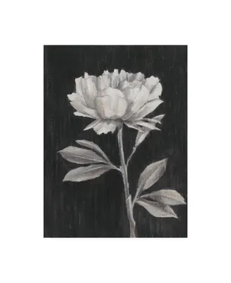 Ethan Harper Black and White Flowers Iii Canvas Art - 36.5" x 48"