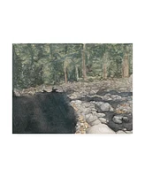 Natasha Chabot Virginia Forest Ii Canvas Art - 36.5" x 48"