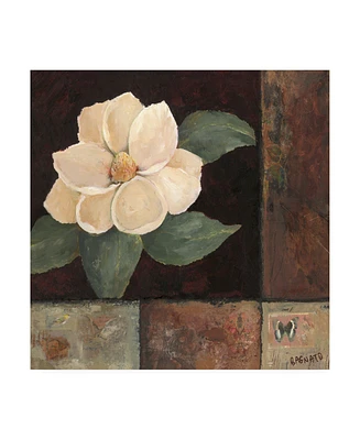 Judi Bagnato Magnolia Breeze Ii Canvas Art - 36.5" x 48"