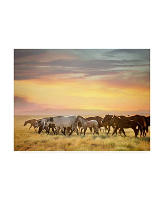 Ph Burchett Sunkissed Horses I Canvas Art - 36.5" x 48"