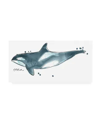 June Erica Vess Cetacea Orca Whale Canvas Art