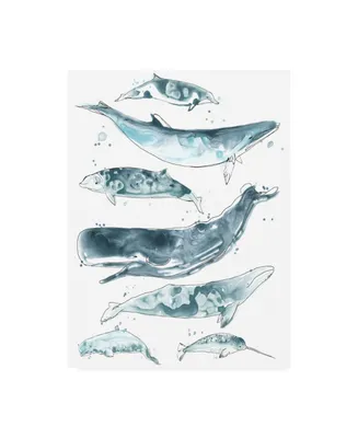 June Erica Vess Cetacea Ii Canvas Art - 36.5" x 48"