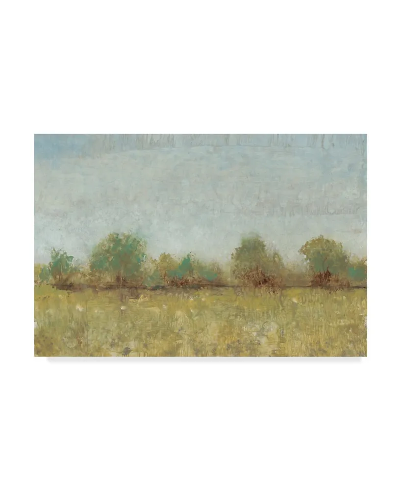 Tim Otoole Spring Field I Canvas Art