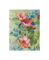 Danhui Nai Hibiscus Garden Ii Canvas Art