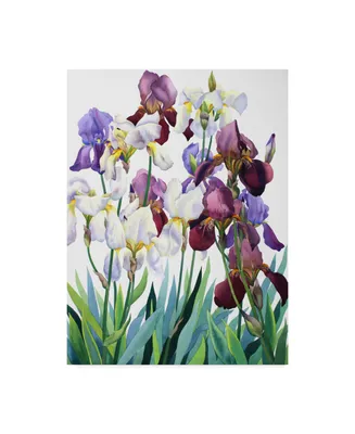 Christopher Ryland White and Purple Irises Canvas Art - 15" x 20"