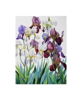 Christopher Ryland White and Purple Irises Canvas Art - 15" x 20"