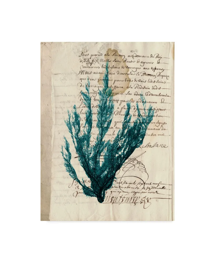 Vision Studio Vintage Teal Seaweed Ii Canvas Art