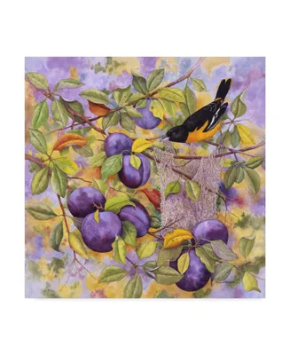 Marcia Matcham Oriole and Plums Canvas Art