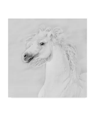 Ph Burchett Black and White Horses Iii Canvas Art
