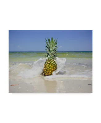 Adam Mead South Florida Pineapple Iv Canvas Art