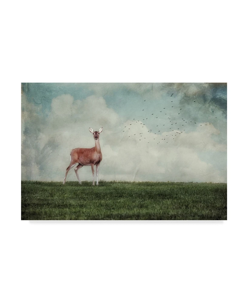 Lois Bryan Doe in the Meadow Canvas Art - 20" x 25"