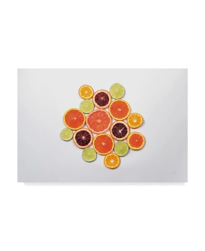 Felicity Bradley Sunny Citrus I Canvas Art - 20" x 25"