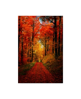 Philippe Sainte-Laudy Forest Garden Canvas Art - 30" x 47"