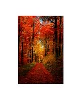 Philippe Sainte-Laudy Forest Garden Canvas Art - 30" x 47"