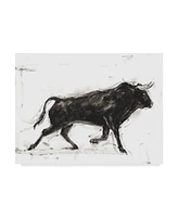 Ethan Harper Toro Ii Canvas Art - 37" x 49"